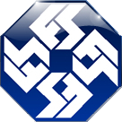 FSI logo